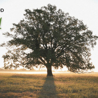 5 Things God Uses to Grow Your Faith