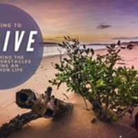 Learning To Thrive Part 4