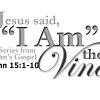 I Am the Vine