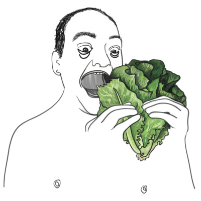 Audiocollectief Vogel