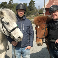 Persson och Marhlo testar islandshäst