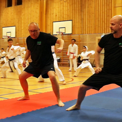 Persson Och Marhlo Testar Olympiska Sporter