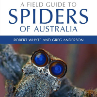 No Cartridge After Dark - Thick Bugs Not Welcome