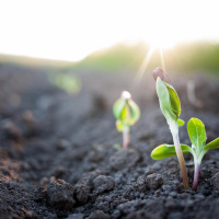 9. Сила Привычки