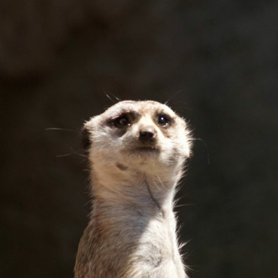 Anothervirtualpleasureminute