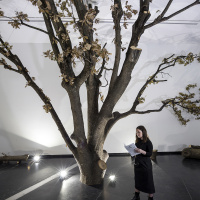 Future Forum: Work with Katrina Sedgwick