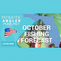October: Fishing Forecasts