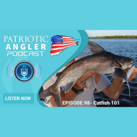 Catfish 101