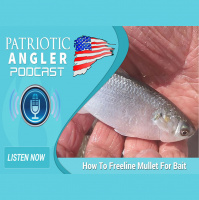 How To Freeline Mullet For Bait