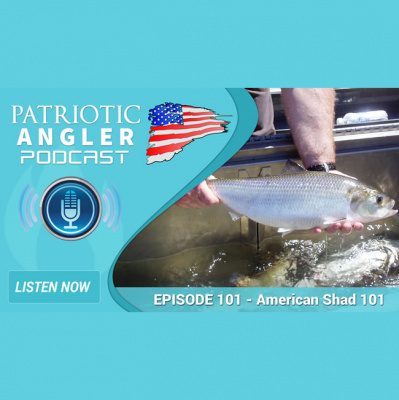 Patriotic Angler Fishing Podcast