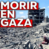 Morir en la Franja de Gaza - Debate Directo