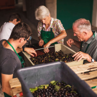 Das Problem mit dem Nachfolger – Familienunternehmen gehen neue Wege