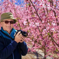 Murcia, territorio singular. LA HUERTA DE CIEZA: COMIENZA EL ESPECTÁCULO DE LA NATURALEZA