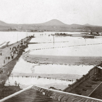 Murcia en la memoria. DESECACIÓN DE ALMARJALES Y DEHESA DE LA HUERTA DE MURCIA.