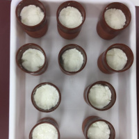 Murcia, territorio singular CHATO MURCIANO, LIBRO GENEALÓGICO Y FLORACIÓN. CUAJADA AL LIMÓN.