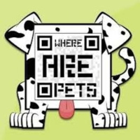 Talento emprendedor MIWUKI. ANIMALES DESESPERADOS QUE ESPERAN SER ADOPTADOS.