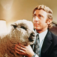 Murcia, territorio singular. EL OVINO DE MURCIA Y SUS PRODUCTOS: CARNE, LECHE Y LANA.