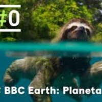 Mar a la vista. PLANETA TIERRA II: LA NATURALEZA: COMO NUNCA ANTES LA HABÍAS VISTO.