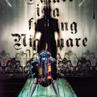 Vorgestellt: Rose Bernd