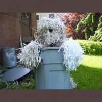 Boomer the Dog Interview