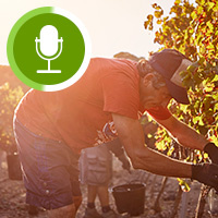 Creating Safe Workplaces for International Workers with Francy Munoz