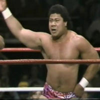 GFA Live #18: Best of the WWF, Vol. 8