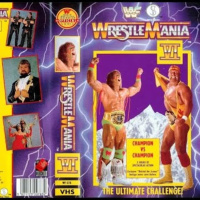GFA Live #239: WrestleMania 6 (Part 2)