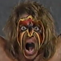 GFA Live #235: WWF Superstars 03-17-1990