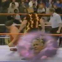 24. WWF Superstars of Wrestling 06-18-1988