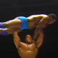 GFA Live #17: Best of the WWF Vol. 4