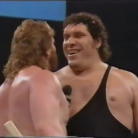 8. WWF Superstars of Wrestling 04-02-1988