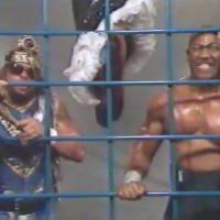 43. WWF Wrestling Spotlight 12-16-1989