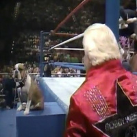 201. WWF Superstars 12-26-1987 (Islanders dognap Matilda)