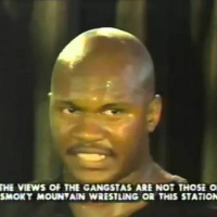 216. Smoky Mountain Wrestling 08-20-1994