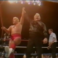 GFA Live #127: WWF Superstars 10-15-1988 (The Red Rooster gets his name)