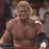 GFA Special: Best of the Heel Turns, Vol. 2