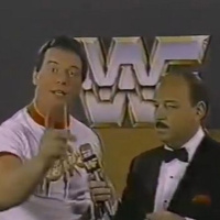 GFA Live #206: WWF Championship Wrestling 11-02-1985