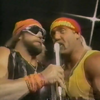 GFA Live #134: WWF Superstars 11-19-1988 (Honky vs Beefcake)