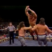 3. World Championship Wrestling 08-10-1991
