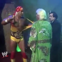 19. WWF Superstars 11-16-1991