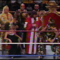 113. WWF Superstars 09-30-1989