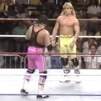 146. WWF Wrestling Challenge 02-11-1990