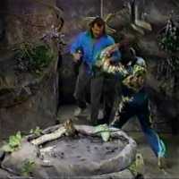 141. WWF Superstars 02-21-1987