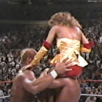 GFA Live #156: WWF Superstars 02-18-1989