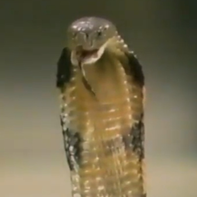 Greetings From Allentown