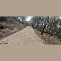 768. Ricardo Ten, estrella paralímpica y resultados de la Vuelta a Valencia 2022