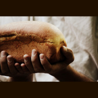 Trusting Jesus a Day at a Time