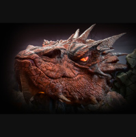 HTL004: Dragon Sickness