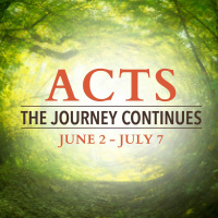 A New Gaze - Jill Williams - 06 - 16 - 19