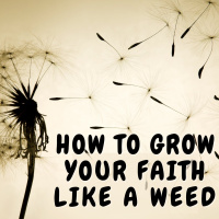 Ground Ivy: Spreading the Love to Your Neighbors